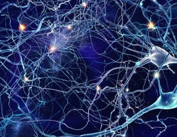 Tratamiento de Mantenimiento con Antidepresivos: ¿Cuánto Tiempo es Suficiente?
